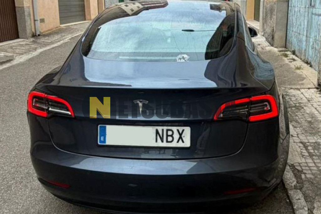 Tesla Model 3 Traccion trasera 2019