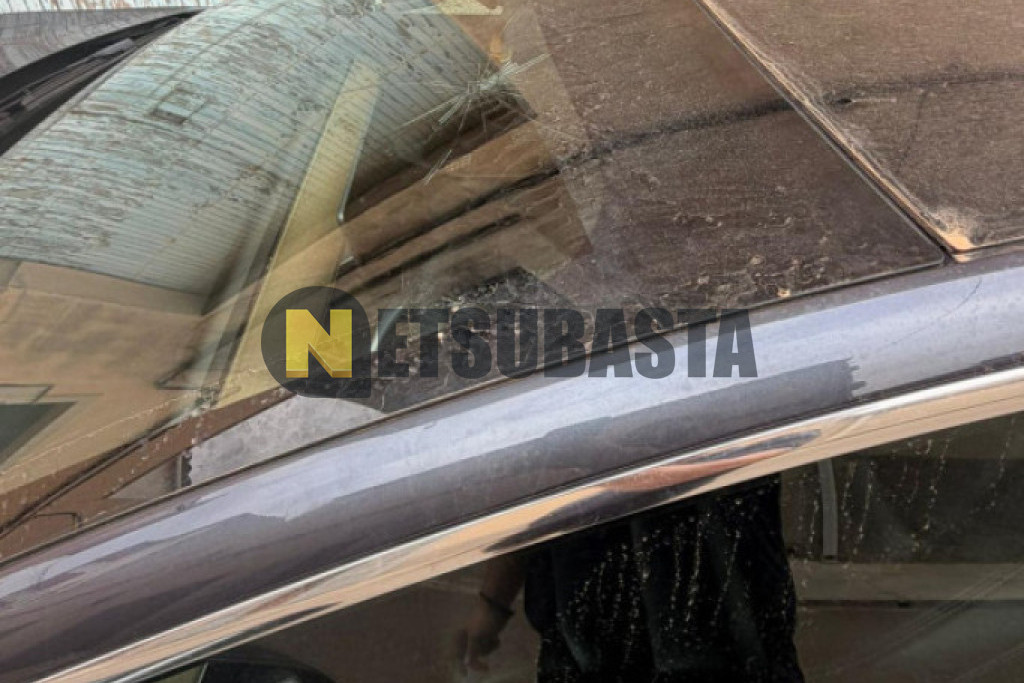 Tesla Model 3 Traccion trasera 2019