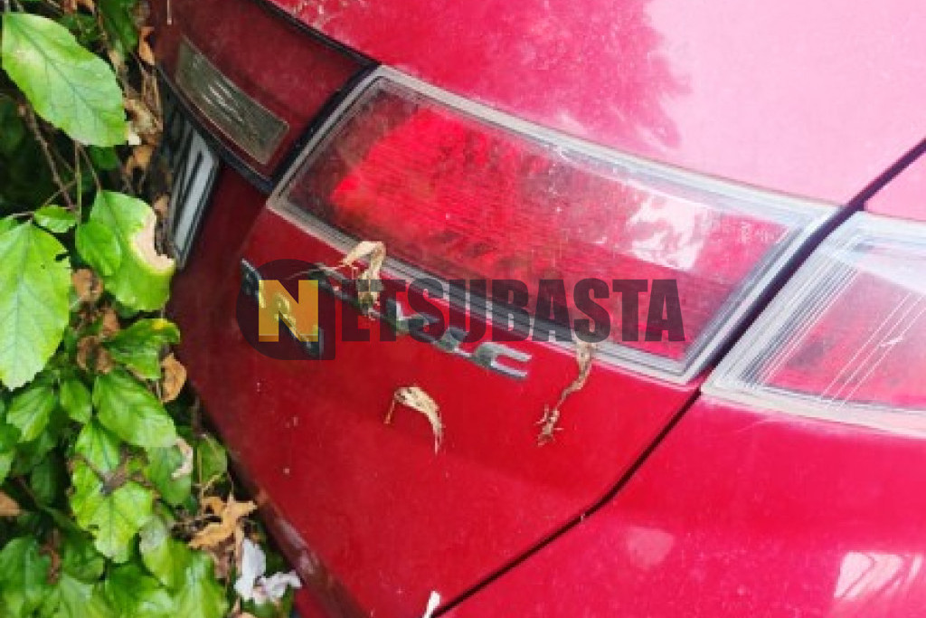Honda Civic 2.2 i-CTDi 2008