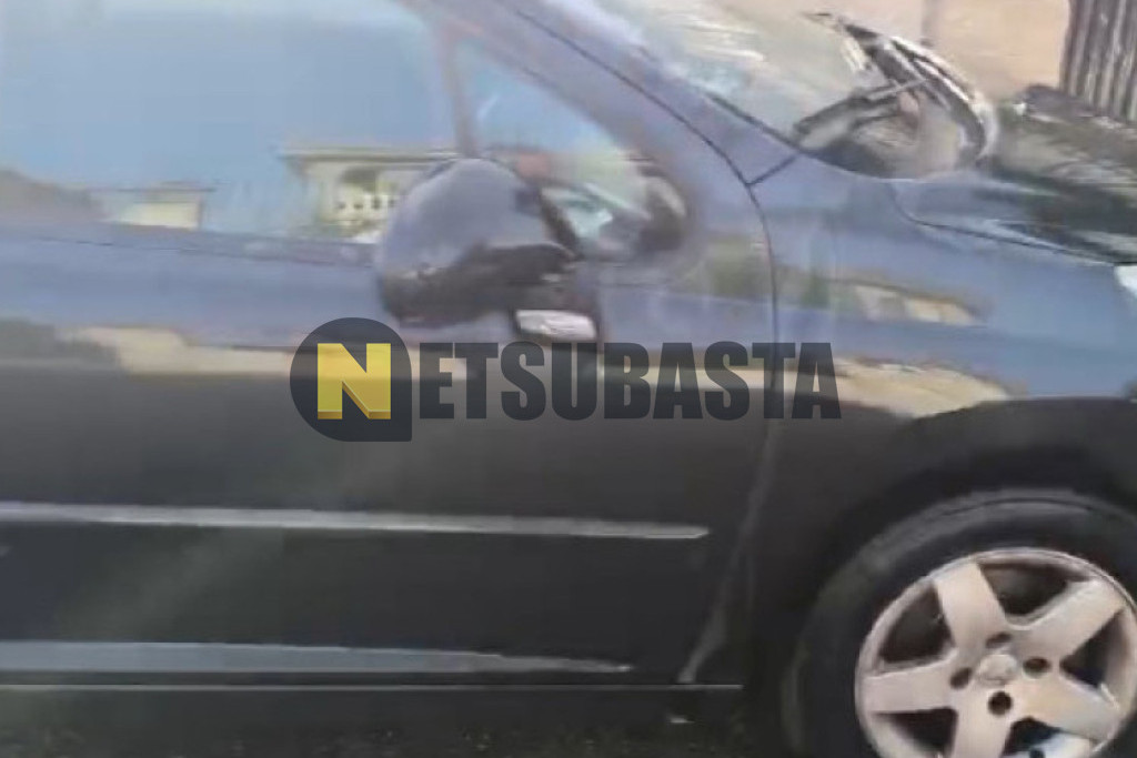 Peugeot 207 1.4 16v 2006