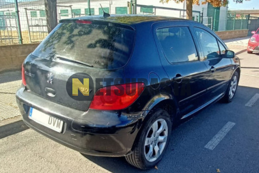 Peugeot 307 2.0 16v 2006