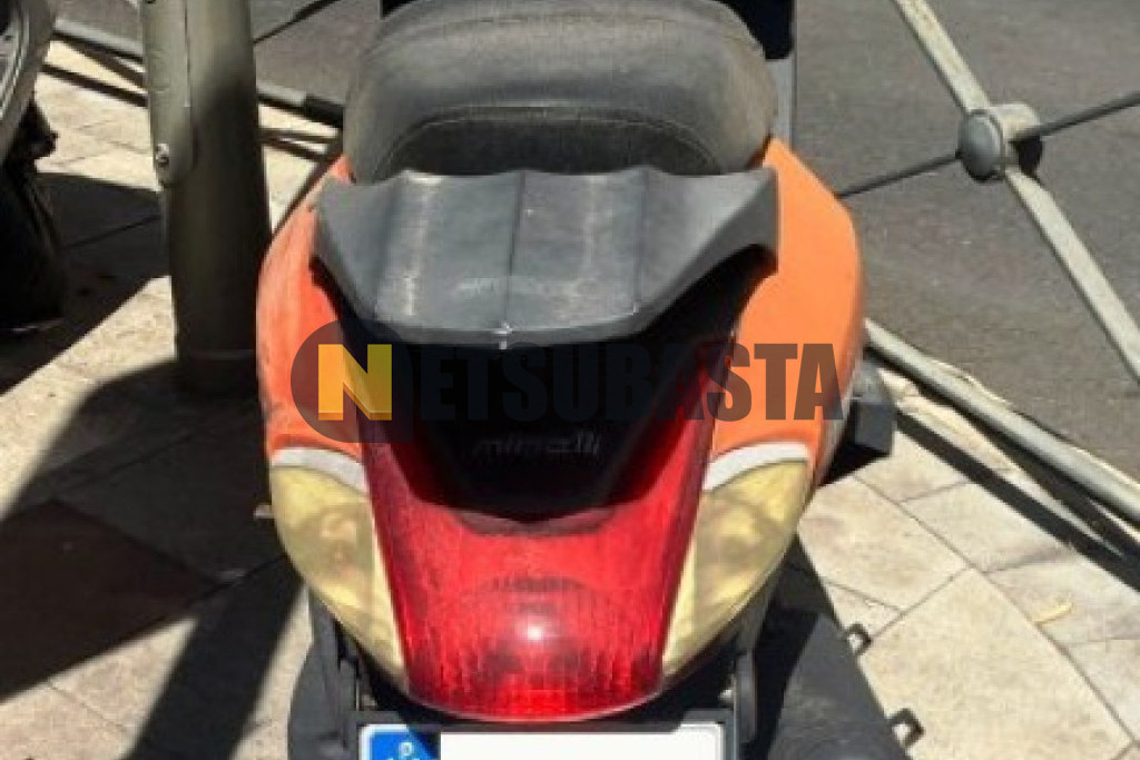 Minelli Infinity 125 2008