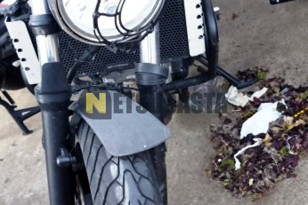 Suzuki SV 650 2020