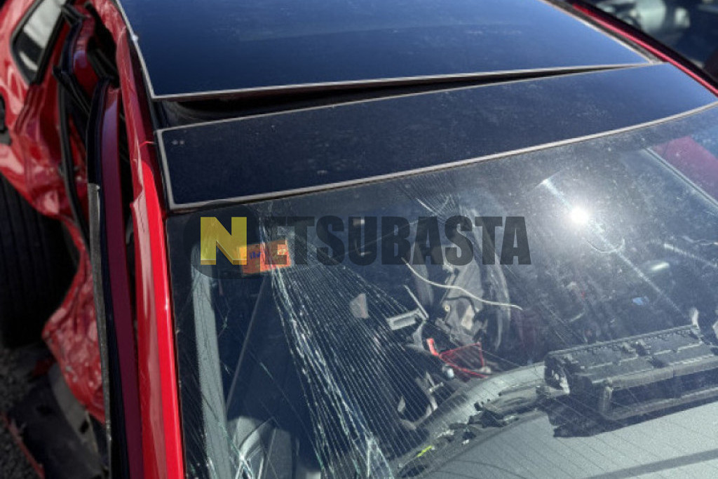 Volkswagen Polo GTI 2.0 TSI DSG 6 vel. 2019