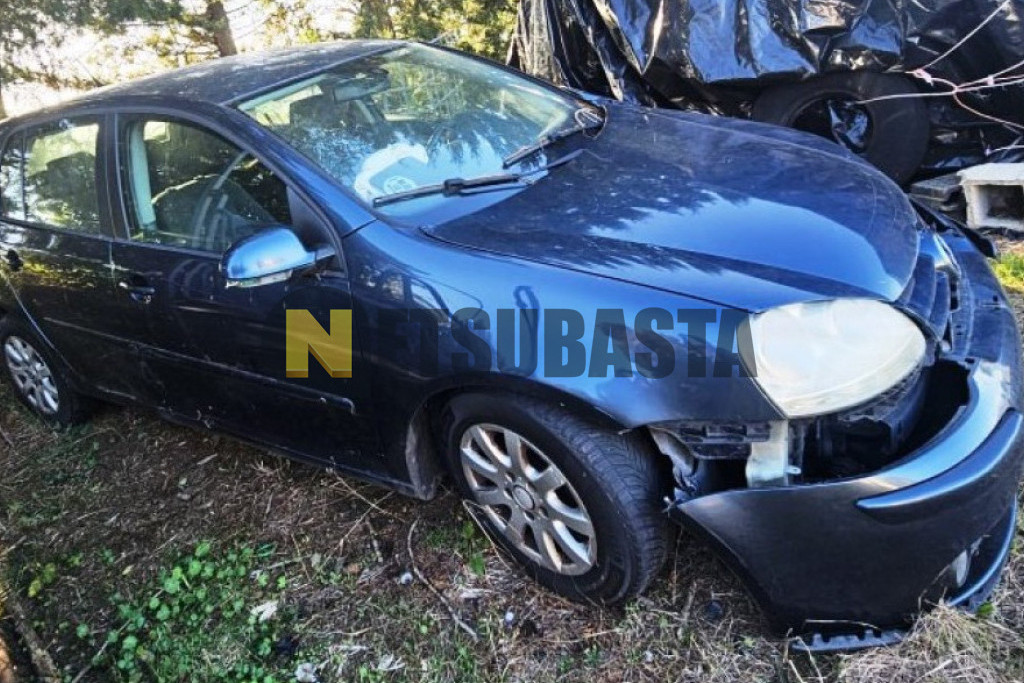 Volkswagen Golf 1.9 TDI 2006