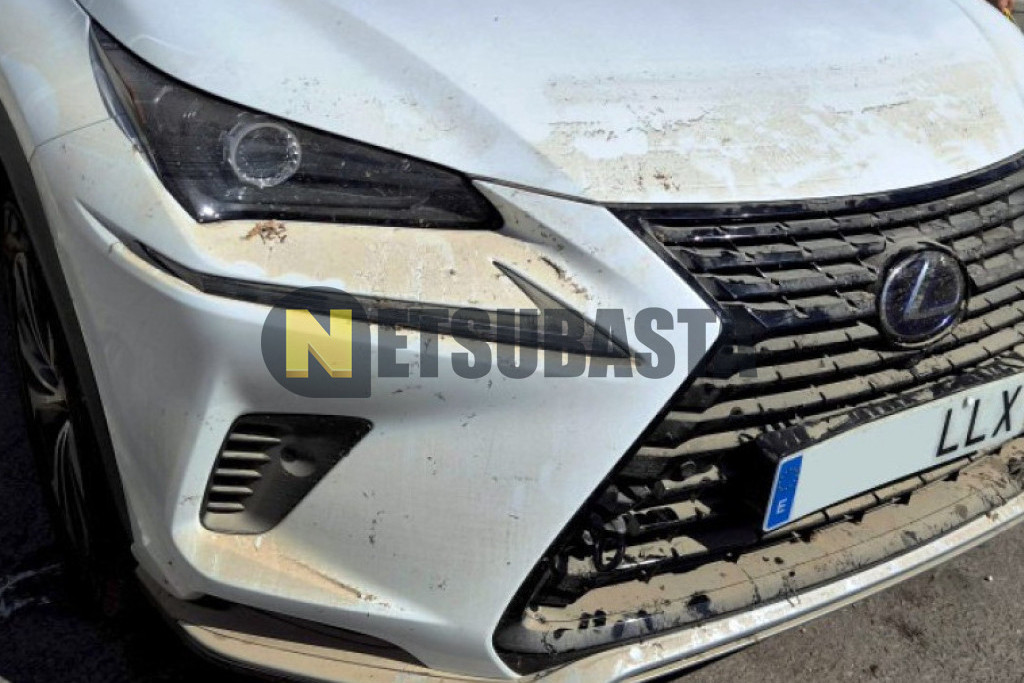 Lexus NX 300h 2WD 2020