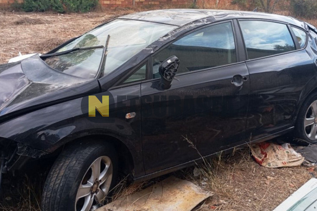 Seat Leon 1.9 TDI 2008