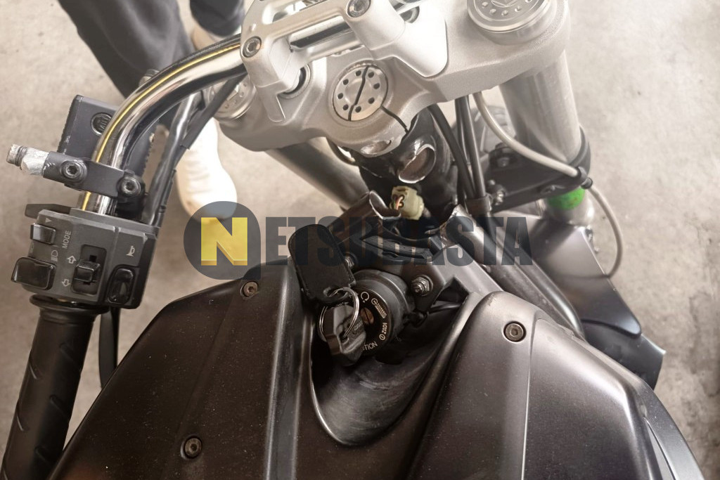Ducati MONSTER 695 2009