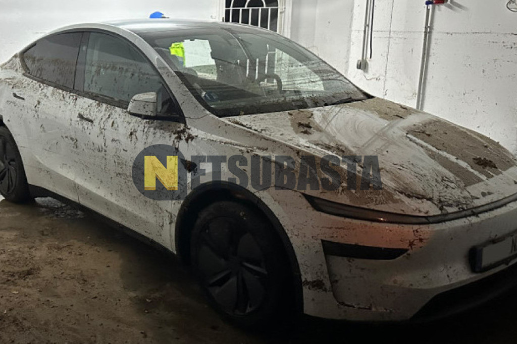 Tesla Model Y Tracción trasera 2025