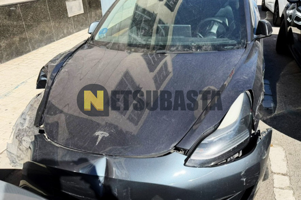 Tesla Model 3 Tracción integral Gran autonomía 2021